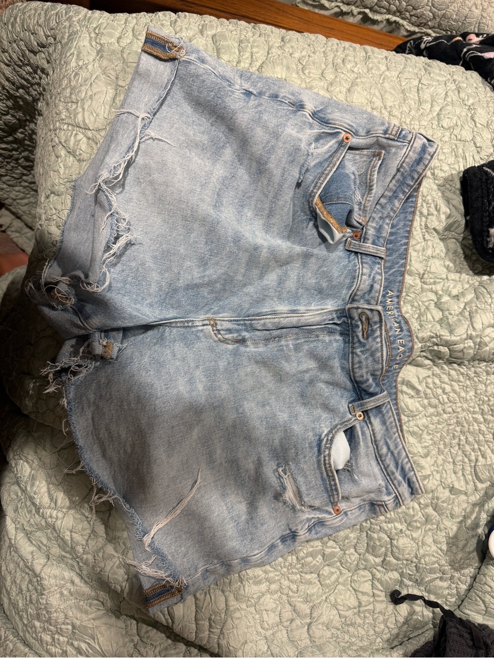 American Eagle Outfitters Light Wash Distressed Denim Shorts